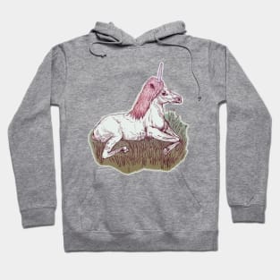 Resting Unicorny Hoodie